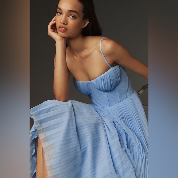 Hutch | Dresses | Hutch Amara Bustier Pleated Tulle Fit Flaremidi Dress |  Poshmark